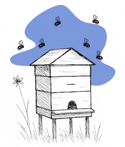 ruche entourée d'abeilles